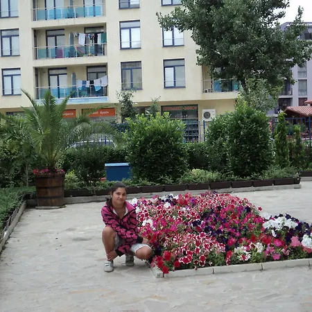 伊力特4号公寓 公寓 阳光海滩