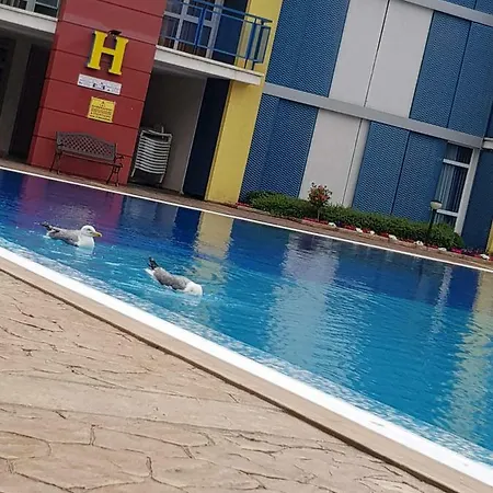 In Complex Elit 4 * Slantchev Briag