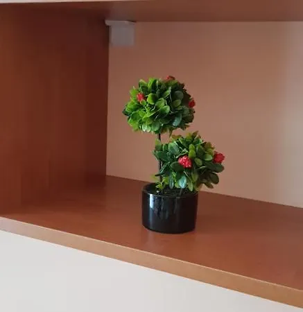 Elit 4 Apartments סאני ביץ'