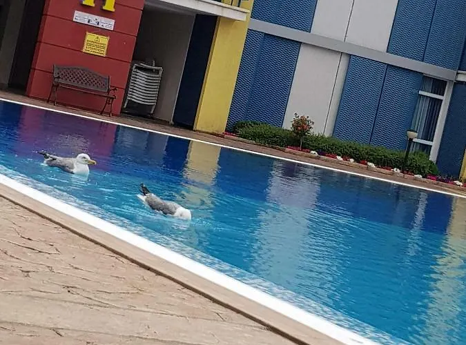 In Complex Elit 4 * Sunny Beach